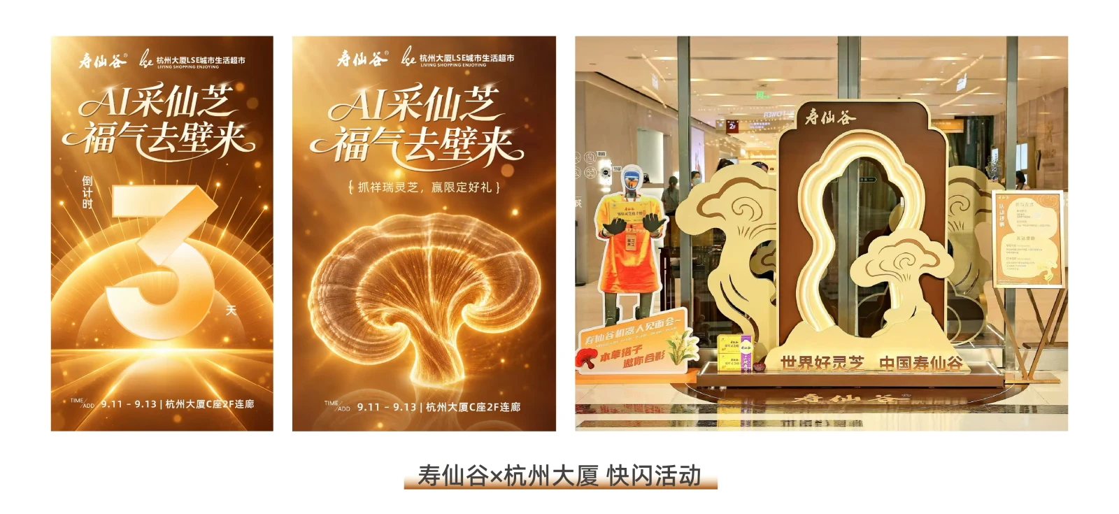 寿仙谷｜杭州大厦快闪活动 · 设计与应用整版
